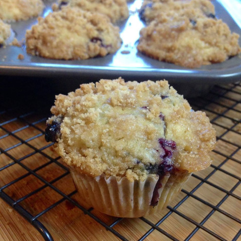 Gluten Free Vegan Blueberry Muffins With A Streusel Topping,Cute Turtle Names Boy