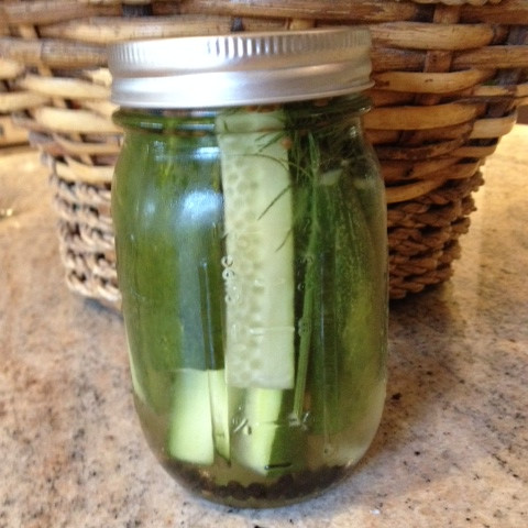 HOME MADE DILL PICKLES